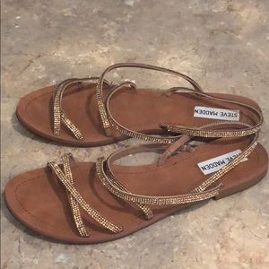 steve madden rita